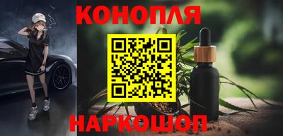стафф Лесосибирск