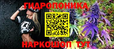 стафф Лесосибирск