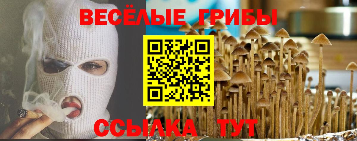 Галлюциногенные грибы Cubensis Домодедово